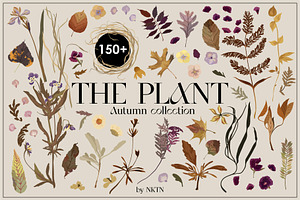 The PLANT. Autumn collection