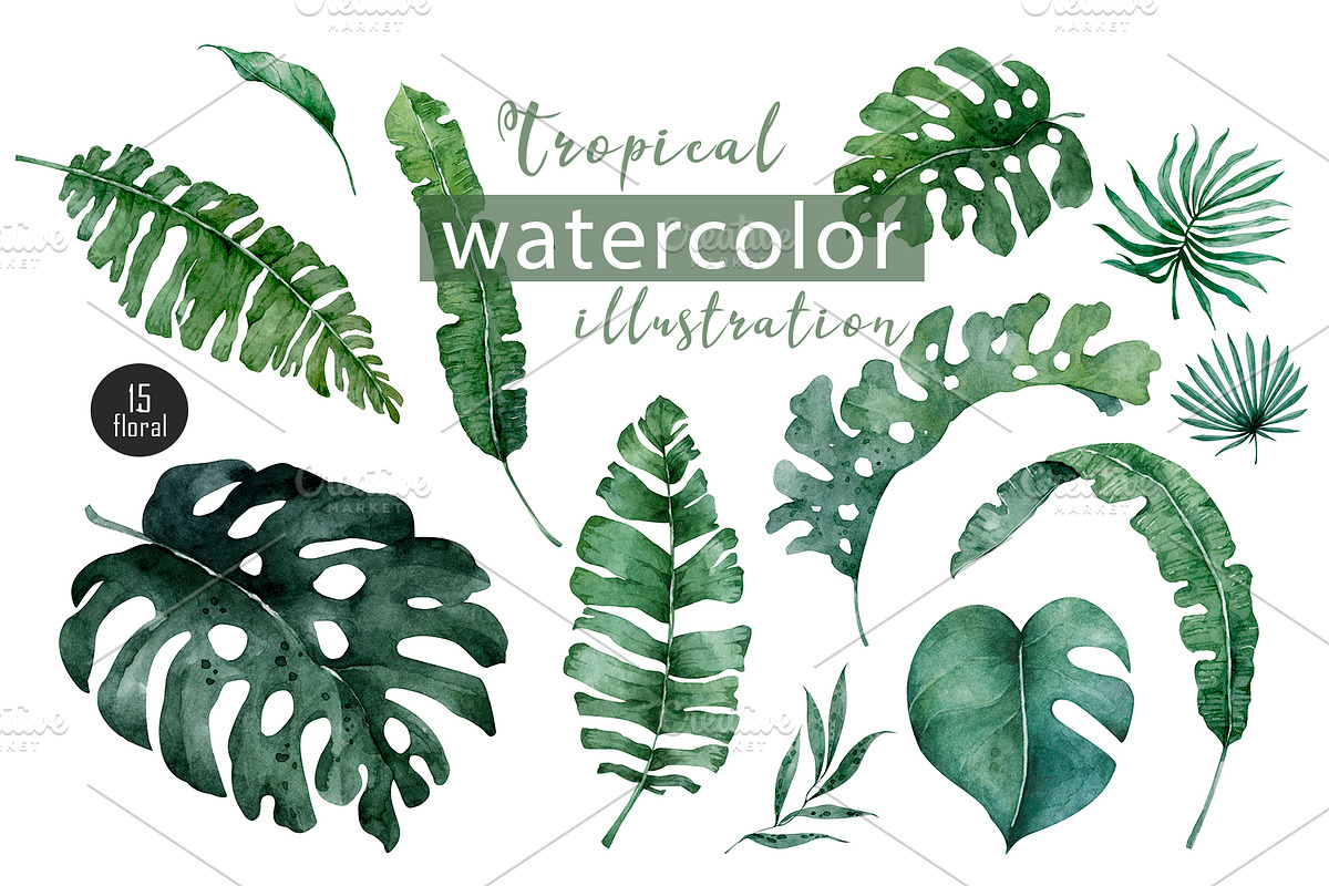 Tropical Wildlife Watercolor set, an Illustration by Ann Art Houze (Photo 9 of 13)