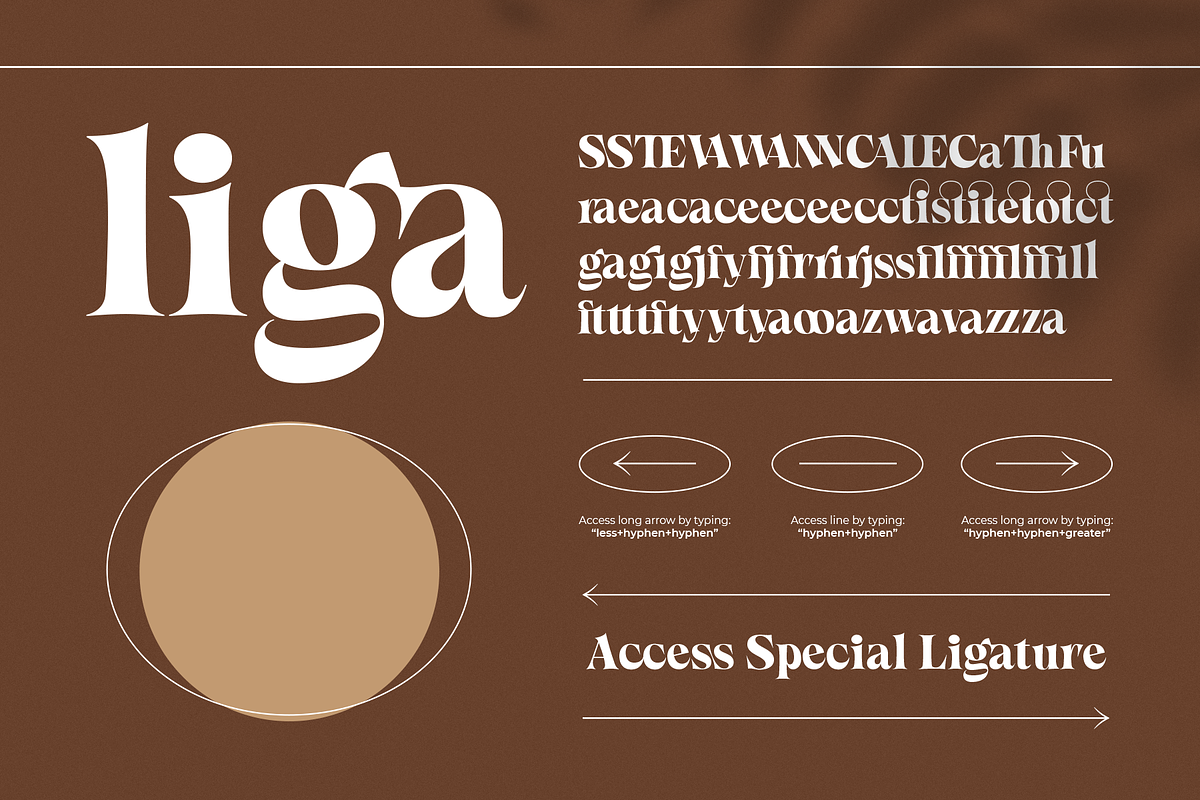 Callgest Display Font - 3 Styles, a Serif Font by Martype Co (Photo 2 of 14)