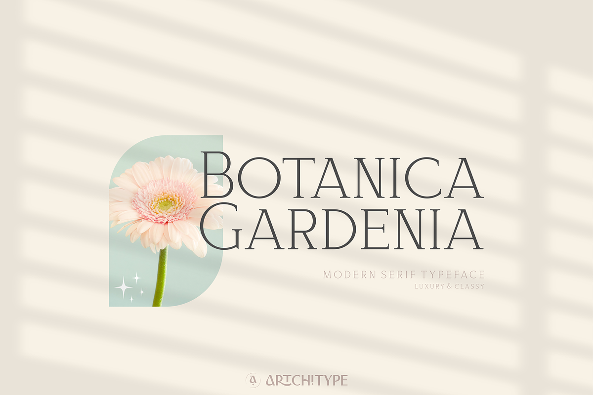 Bloomy Korea - Modern Serif Font, a Serif Font by Artchitype Studio (Photo 3 of 12)