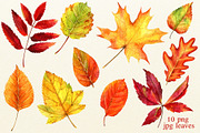 Autumn watercolor set, an Illustration by Nastilustra (Thumbnail 2 of 7)