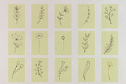 Just hand-drawn leaves, a Decorative Illustration by tinybunnyshop (Thumbnail 2 of 11)