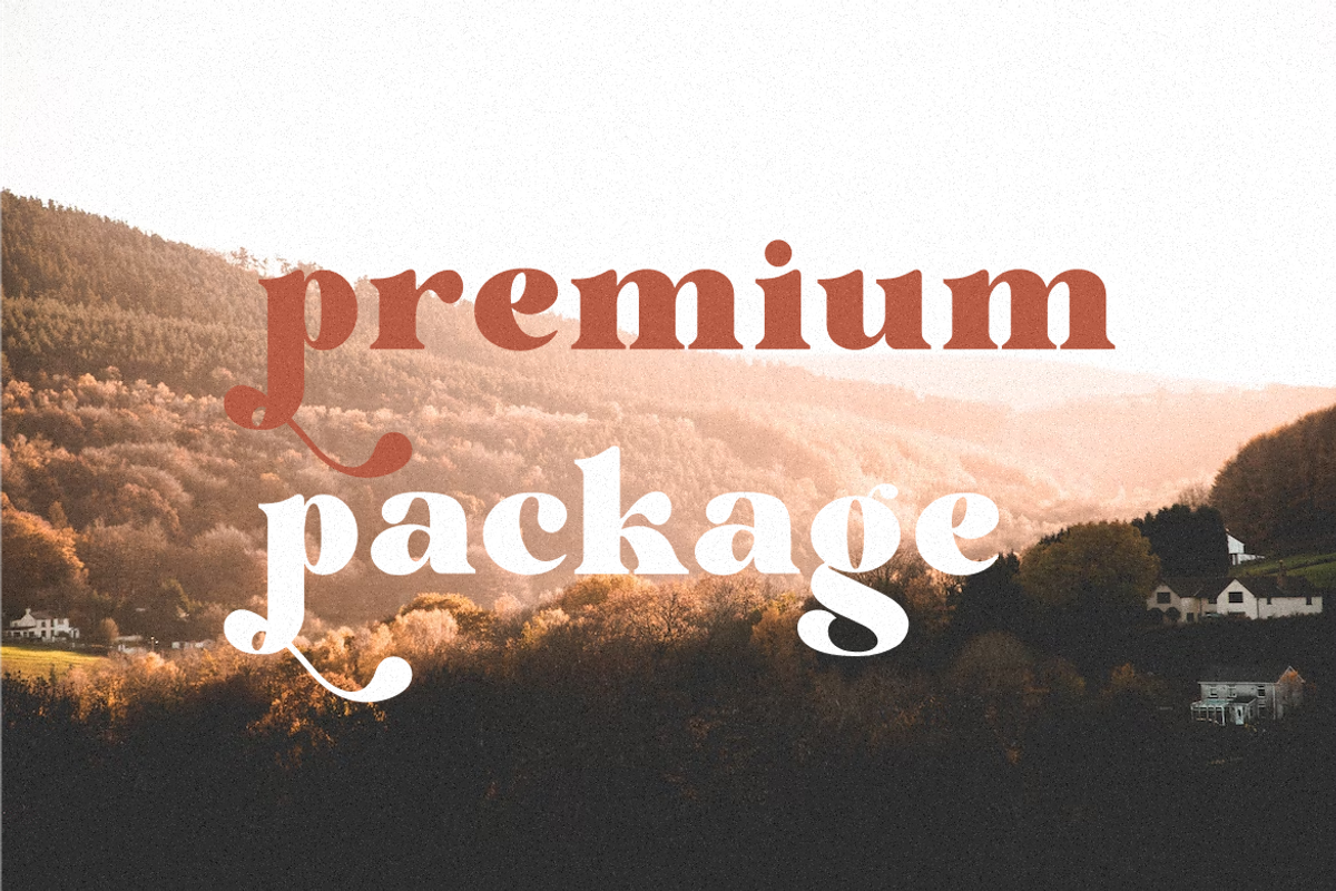 Hollymon, a Serif Font by Typegoals Studio (Photo 6 of 8)