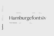 Antique - Luxury Serif Typeface, a Serif Font by Cassandra Cappello (Thumbnail 3 of 5)