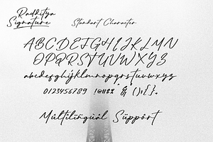 Radditya Signature - Elegant Font