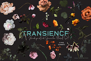 Transience - Hand-painted Gouache, an Illustration by SmallHouseBigPony (Thumbnail 15 of 16)