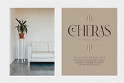 Afgra Modern Serif Typeface, a Font by Dylla_studio (Thumbnail 6 of 10)