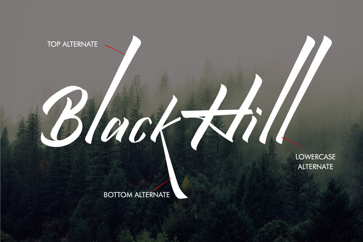 Qistty - Casual Display Font, a Font by Saxofont (Photo 4 of 8)