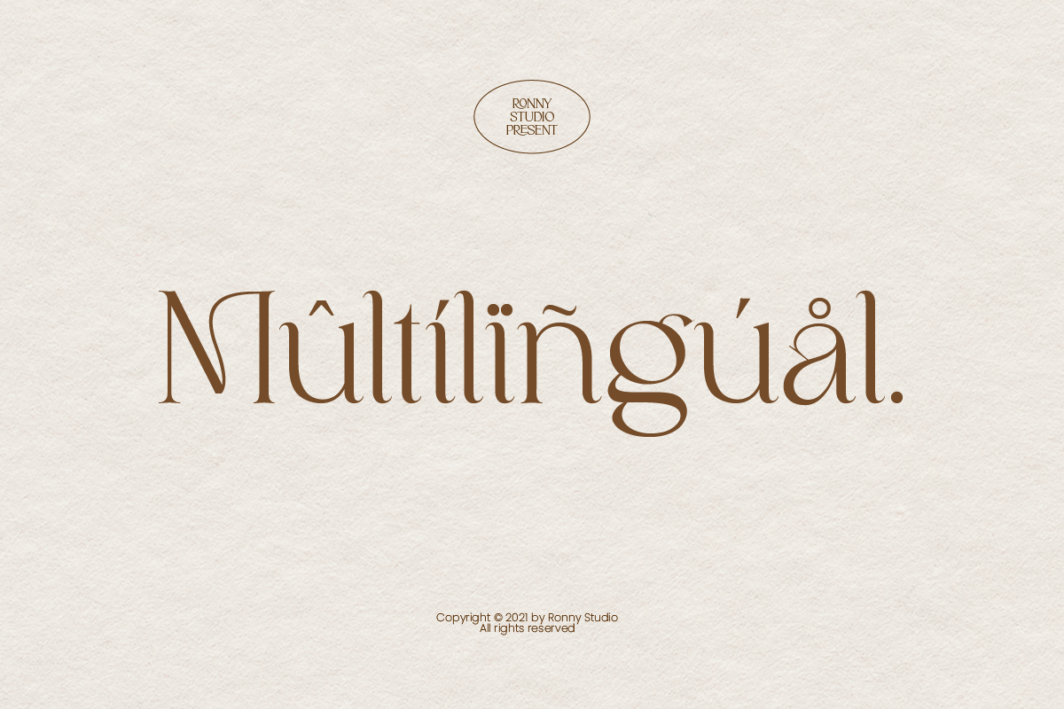 Milchella Beauty Elegant Serif, a Serif Font by Ronny Studio (Photo 14 of 17)