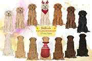Watercolor Golden Retriever Clipart, an Animal Illustration by ColorfulPT (Thumbnail 1 of 5)