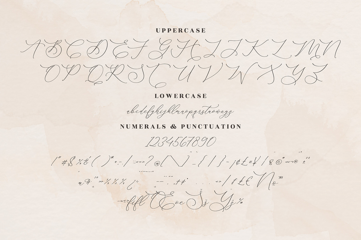 Medusa Luxury Script Font, a Script Font by Storytype Studio (Photo 13 of 15)