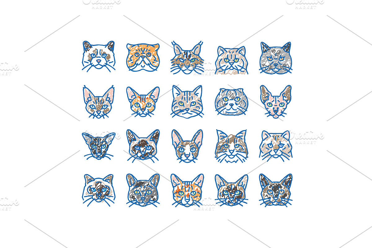 cat cute pet animal kitten funny, an Object Illustration by pikepicture