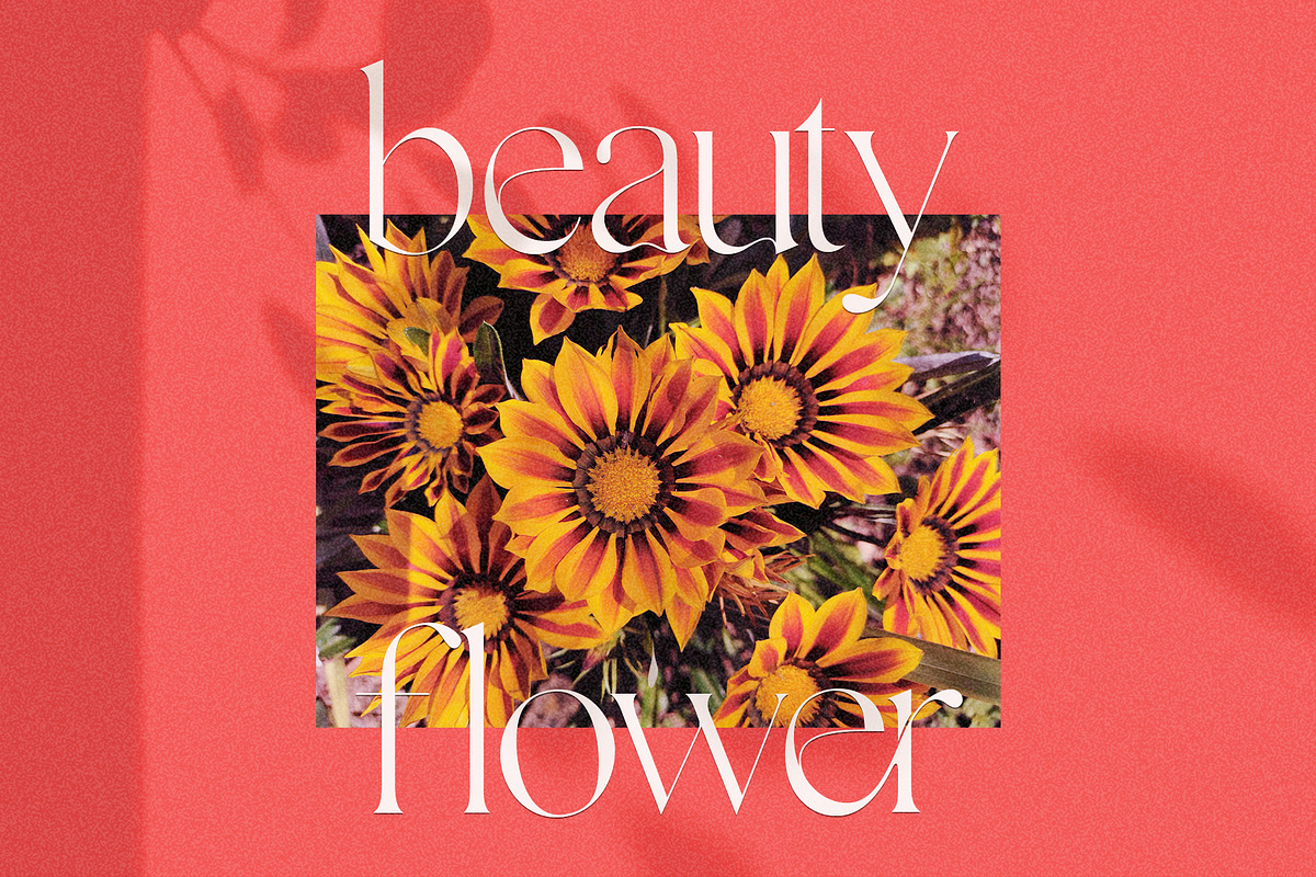 Gallient, a Serif Font by DYSA Studio (Photo 13 of 15)