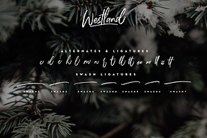 Westland Handstylish Font