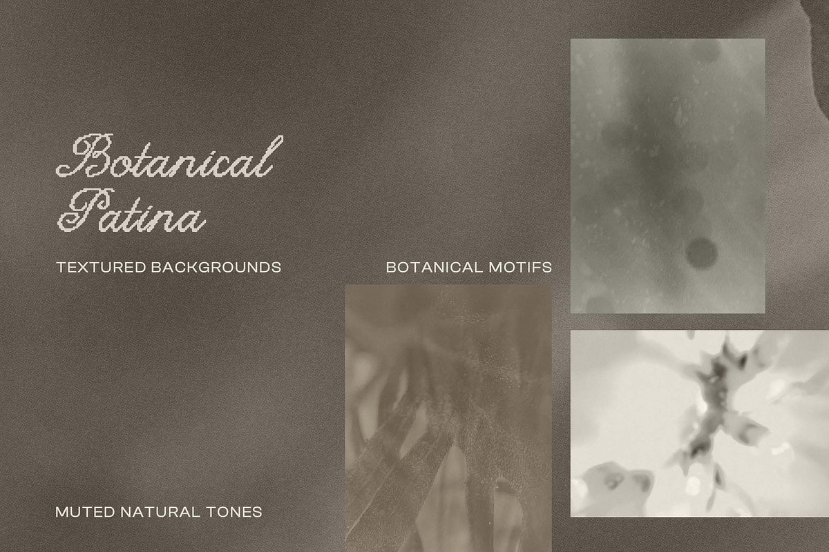 Botanical Patina Backgrounds, a Background Graphic by DigARTbyHavroshka (Photo 2 of 12)