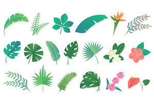 Tropical Leaves Set.