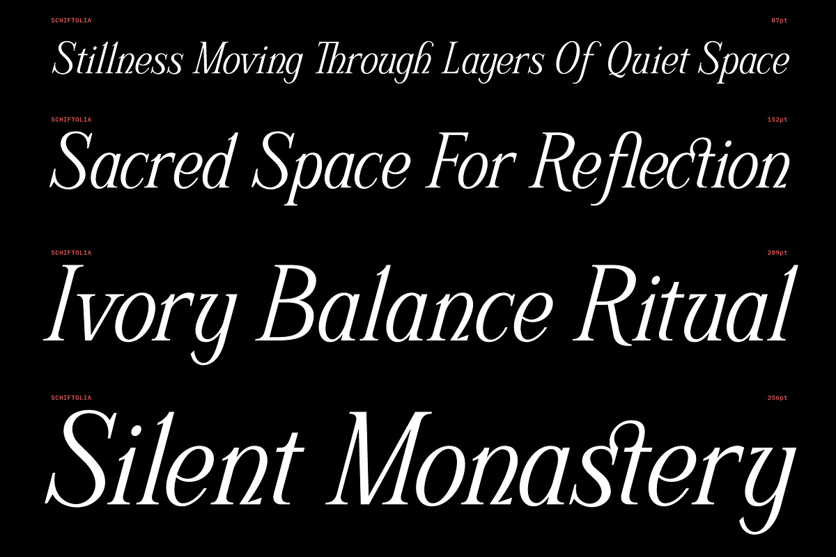 Schriftolia — Elegant Serif Italic, a Serif Font by Invasi Studio (Photo 6 of 12)