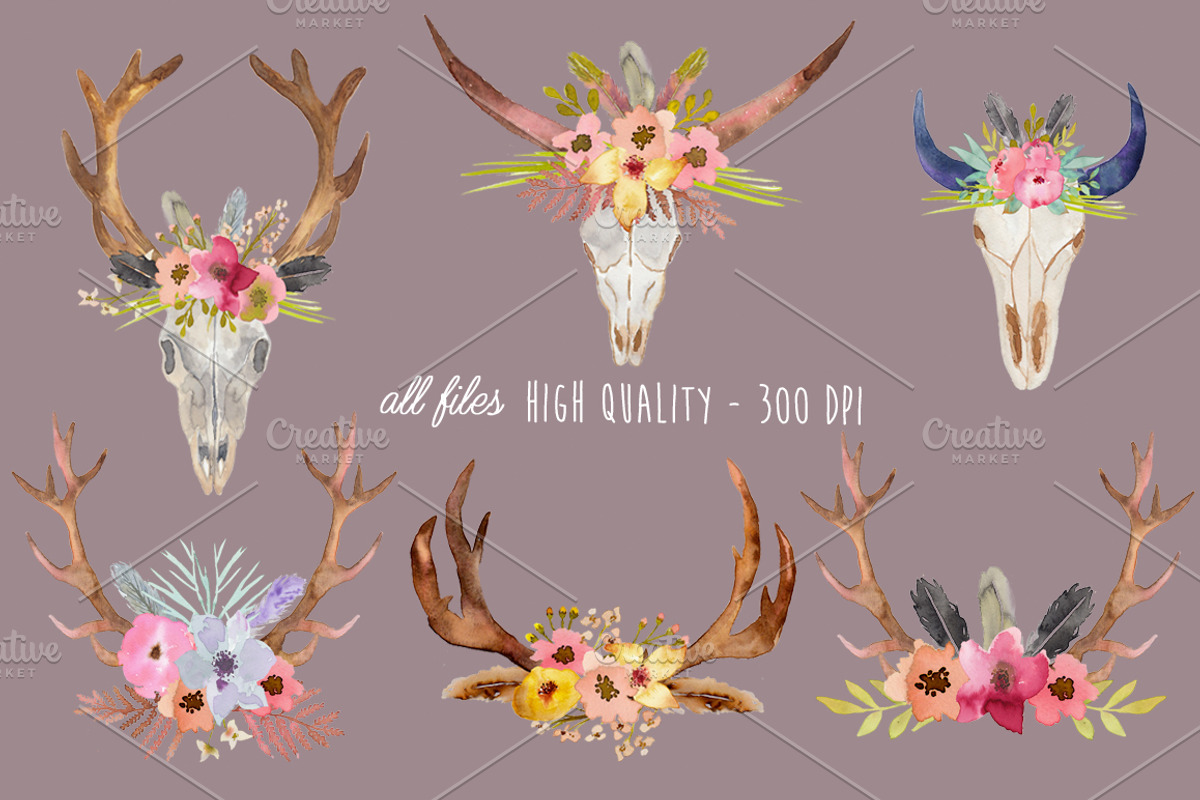 Wild Collection - Skulls and Antlers, a Decorative Illustration by MaraquelaStudio (Photo 6 of 10)