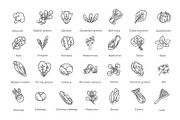 Green Salad Leaves. Vector icons, a Food Illustration by Tettygreen (Thumbnail 2 of 3)