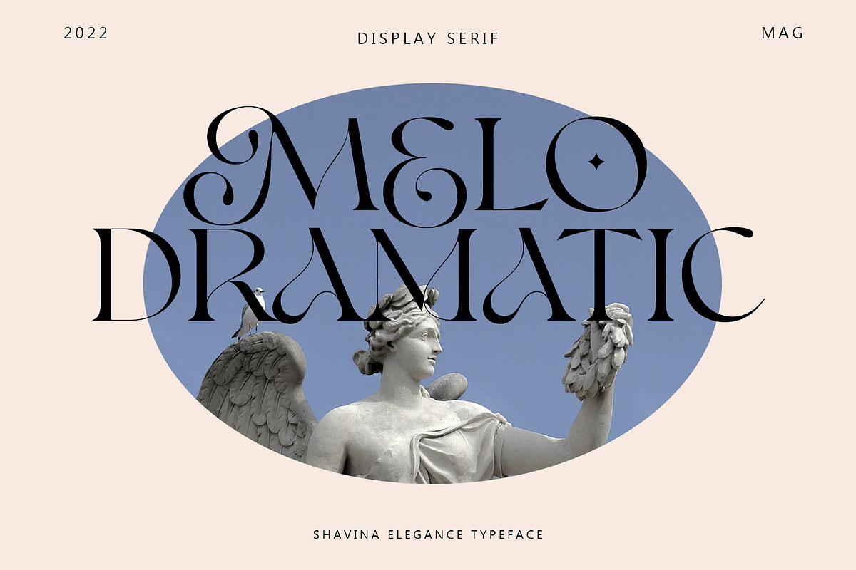 Shavina Elegance, a Serif Font by INKSUN™ (Photo 8 of 12)