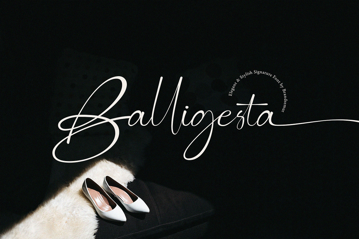 Balligesta Modern Stylish Signature, a Handwritten Font by BrandSemut (Photo 1 of 11)