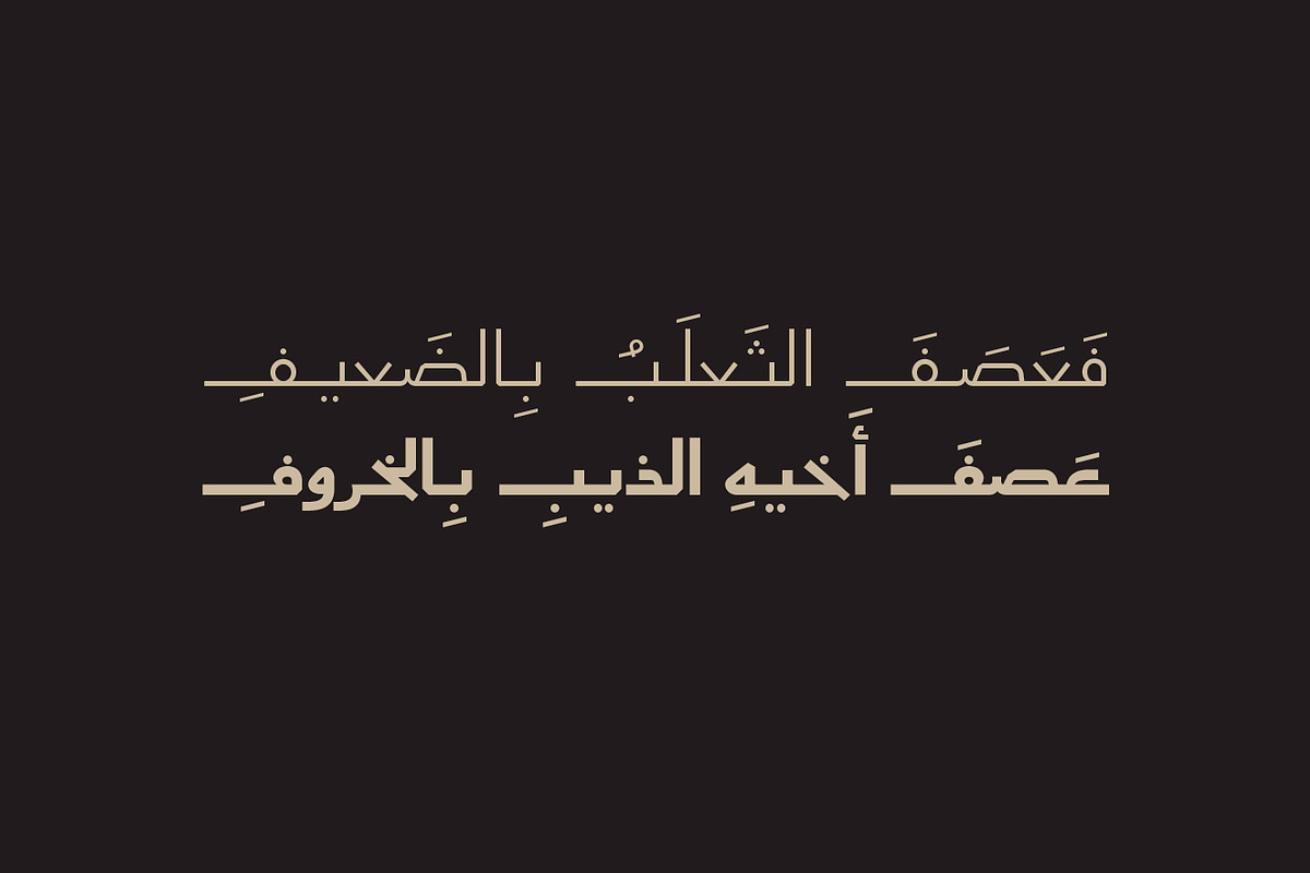 Aaber - Arabic Typeface, a Sans Serif Font by Mostafa El Abasiry (Photo 17 of 17)