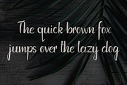 Pumpkin Font + FREE floral patterns, a Script Font by Chimerique (Thumbnail 6 of 8)