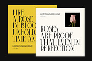 Cinose Elegant Serif Font, a Serif Font by Perfectype (Thumbnail 3 of 8)