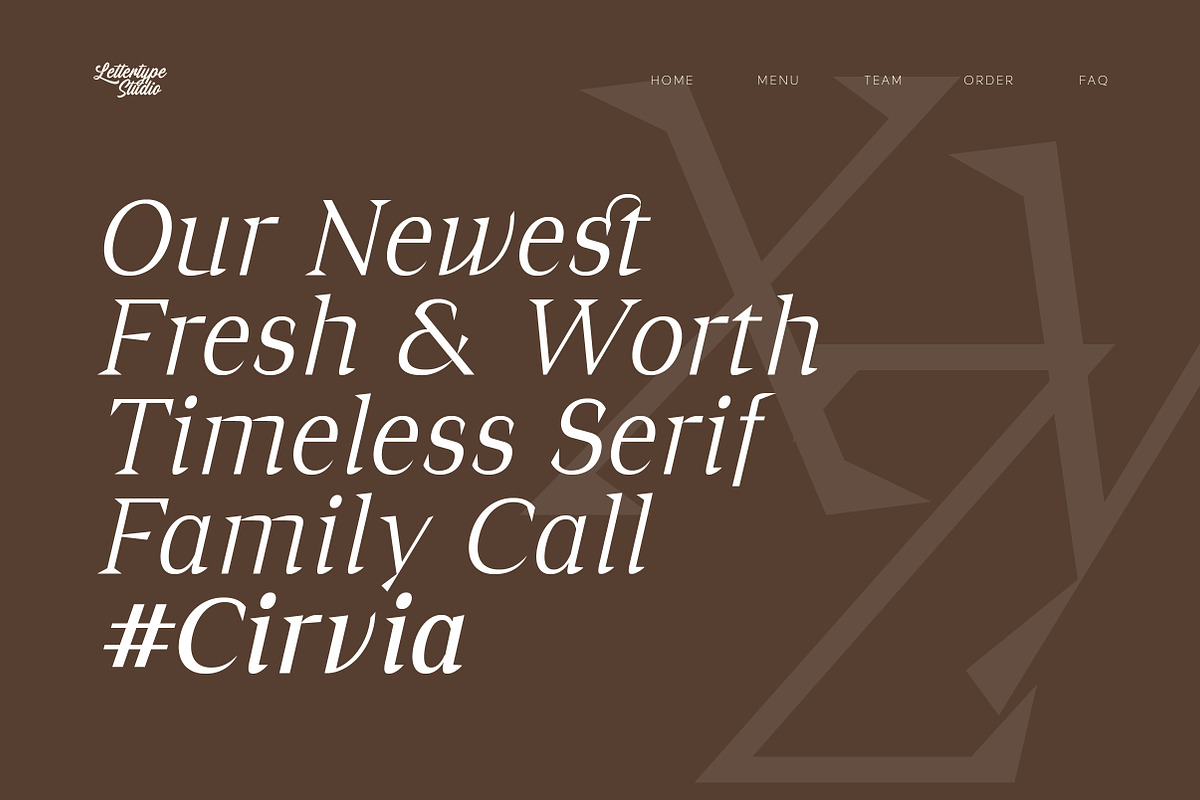 Cirvia Timeless & Fresh Serif Family, a Serif Font by Lettertype Studio (Photo 11 of 15)