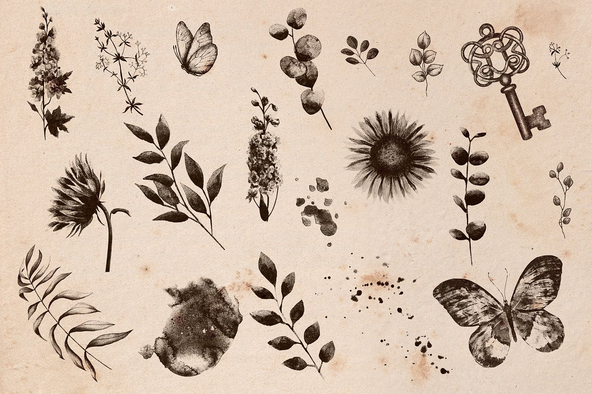 Vintage Maps. Stamp Brushes, a Brush Add-On by Julia_Raketic (Photo 13 of 15)