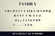Belinda Tamira - Font duo + 20 Logos, a Serif Font by VP Fonts (Thumbnail 9 of 12)