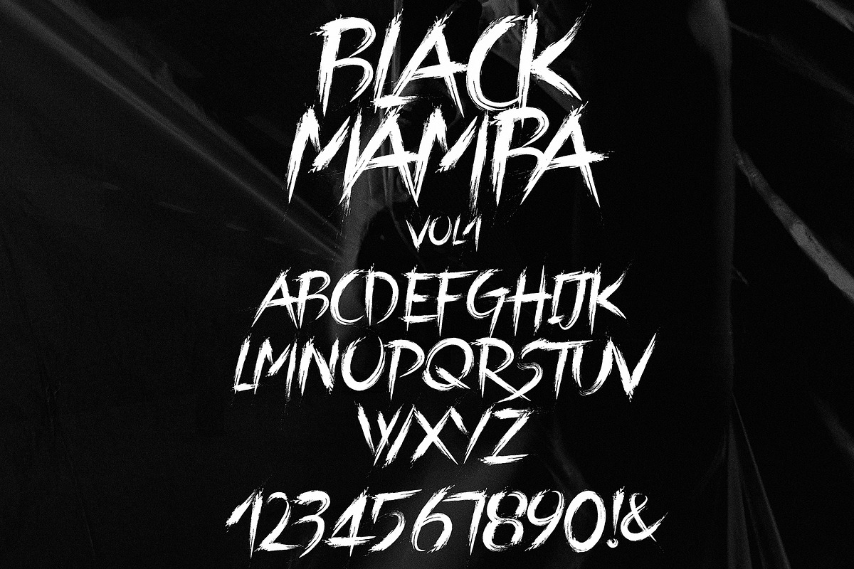Black Mamba Vol.1 Brush Font preview 4