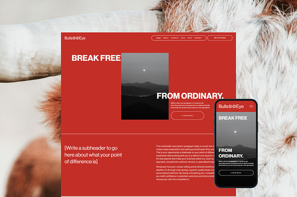 Bullseye Squarespace Website Template preview 7