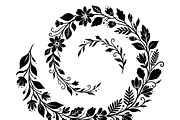 50 Elegant Floral Leaf Spiral Frame, a Decorative Illustration by Amazin_art (Thumbnail 31 of 39)