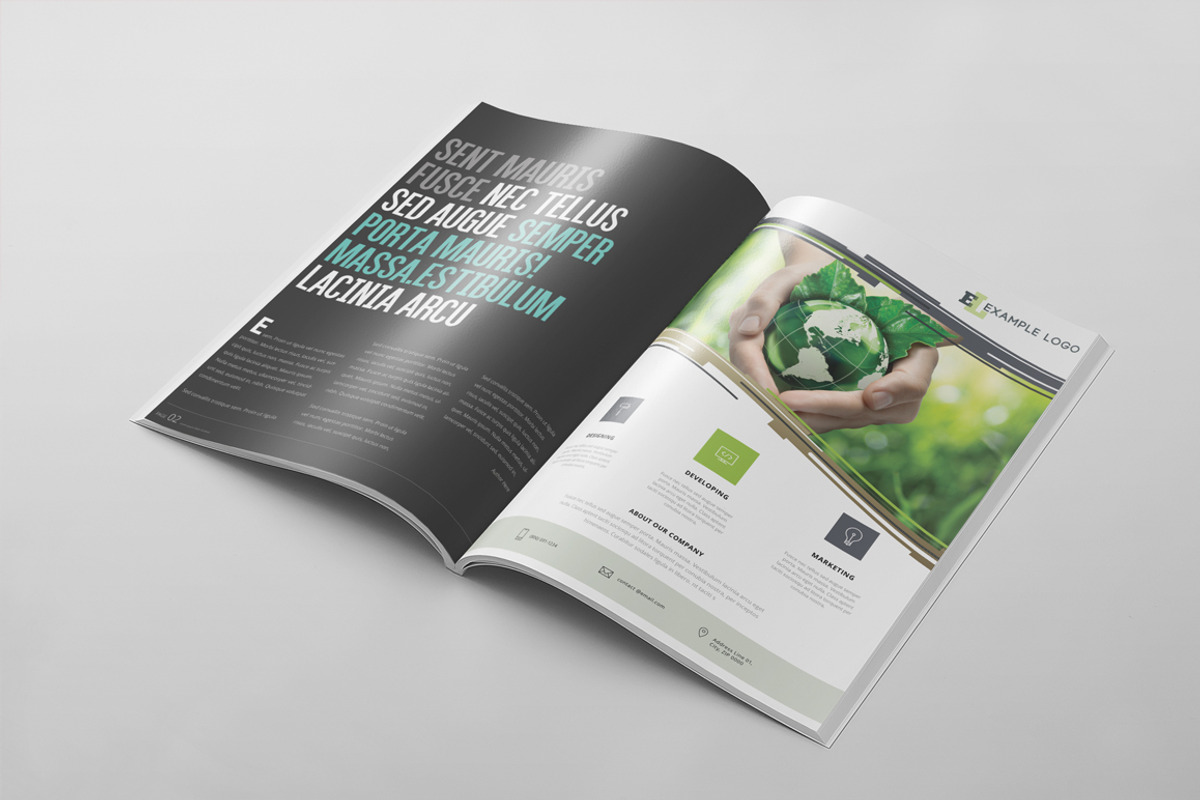 Magazine Template 46, a Magazine Template by pmvch (Photo 9 of 10)