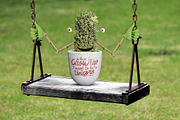 Smarty Planty - Plant life creator, a Product Mockup by envirographic (Thumbnail 17 of 24)