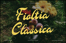 Fioltia Classica | Vilntage Script