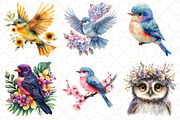 Watercolor Floral Birds Clipart, an Illustration by Black Bird Studio (Thumbnail 5 of 5)