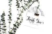Maritha Script, a Script Font by Rotterlab Studio (Thumbnail 8 of 8)