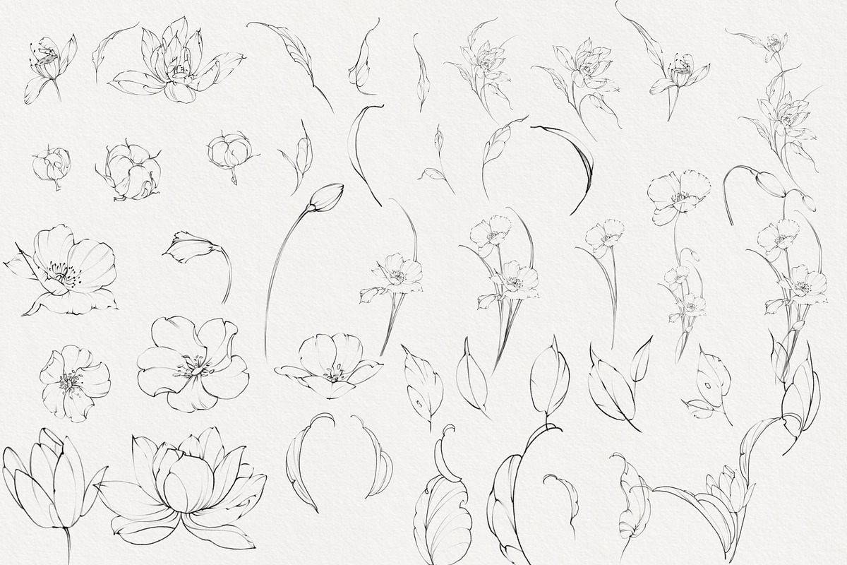 Procreate Phoenix stamps with flower, a Brush Add-On by AnnaPolitmerskaja (Photo 2 of 5)