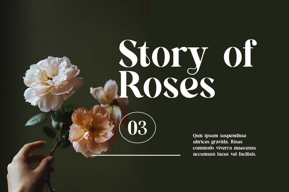 Roadworthy Elegant Serif Font, a Serif Font by UICreative (Photo 3 of 13)