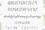Lovefern Font + SWASHES, a Script Font by Angie Makes (Thumbnail 4 of 7)