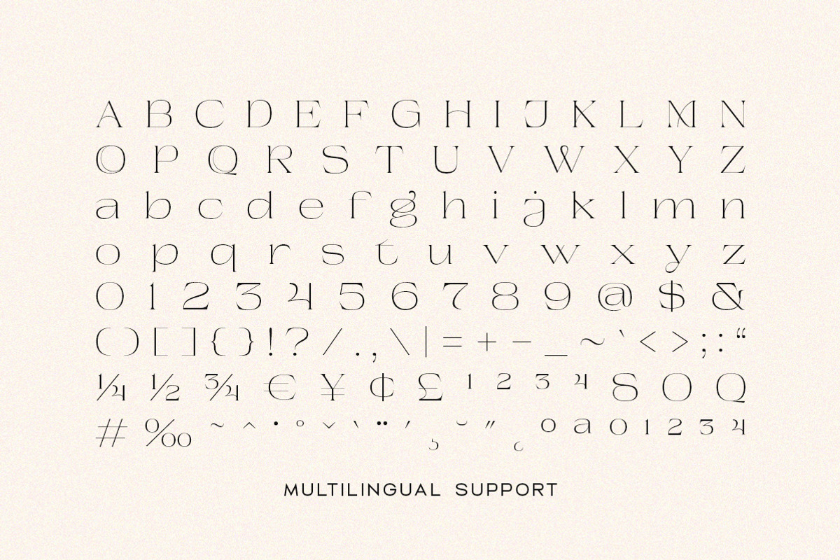 Beauty Entity - Stylish Serif, a Serif Font by Typeskets (Photo 8 of 9)