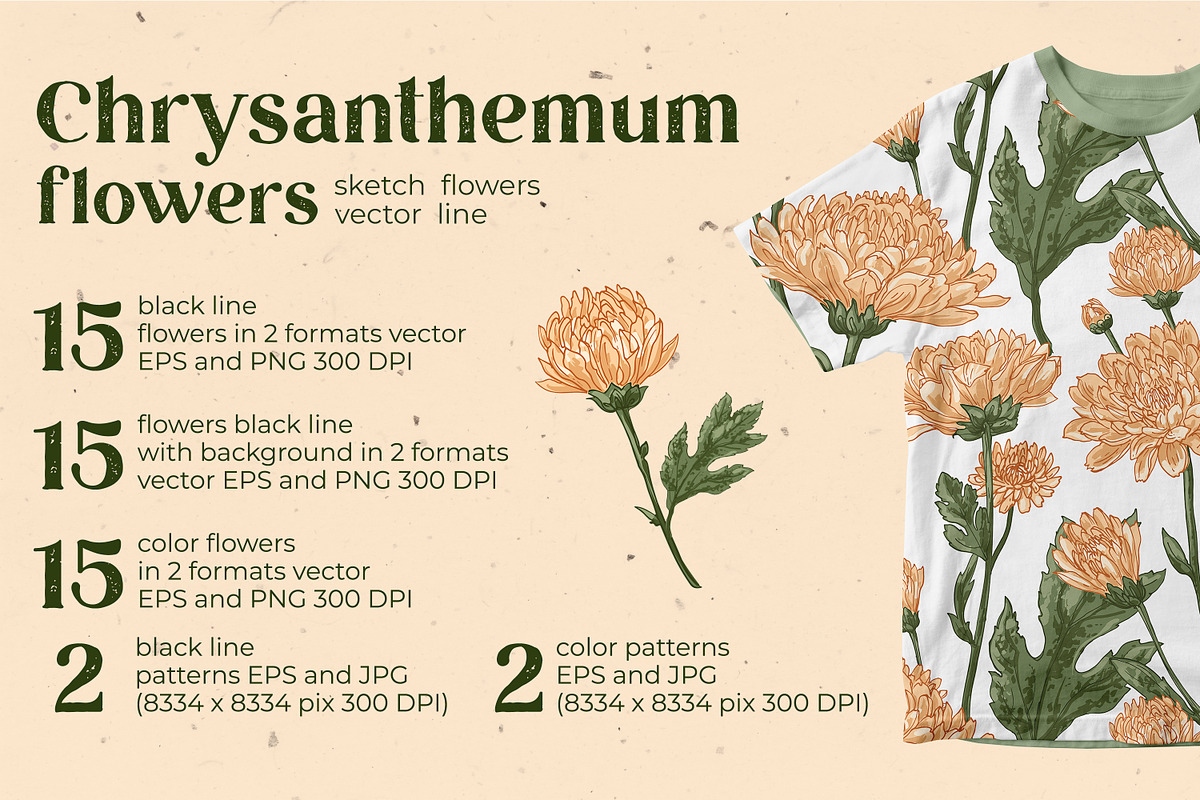 Flowers. Chrysanthemums, an Illustration by irina.vaneeva (Photo 2 of 8)