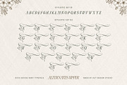 Dove and Goose Typeface, a Serif Font by alit design (Thumbnail 8 of 20)