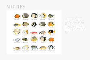 Pez, Exotic Fish Patterns & Motifs