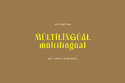 Grosling Michael Elegant Serif, a Serif Font by Cruzine (Thumbnail 8 of 8)