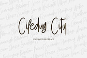 Free Love Script, a Script Font by Ryan Prasetya (Thumbnail 7 of 8)