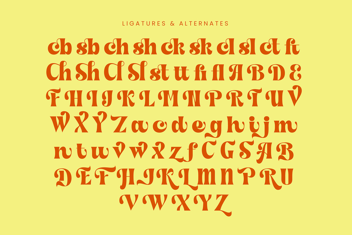 Shyne Roska Groovy Retro Serif, a Serif Font by timelesstype.co (Photo 18 of 20)