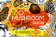 Mushrooms. Big set. 84 objects, a Decorative Illustration by Alena Kaz (Thumbnail 1 of 8)